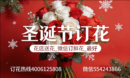 �����躣�л���